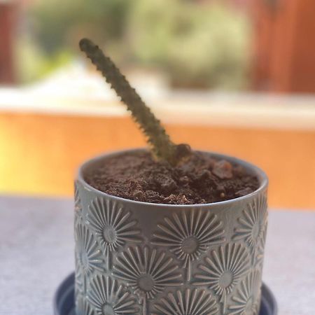 Luxury Apart A Gueliz Marrakech マラケシュ エクステリア 写真